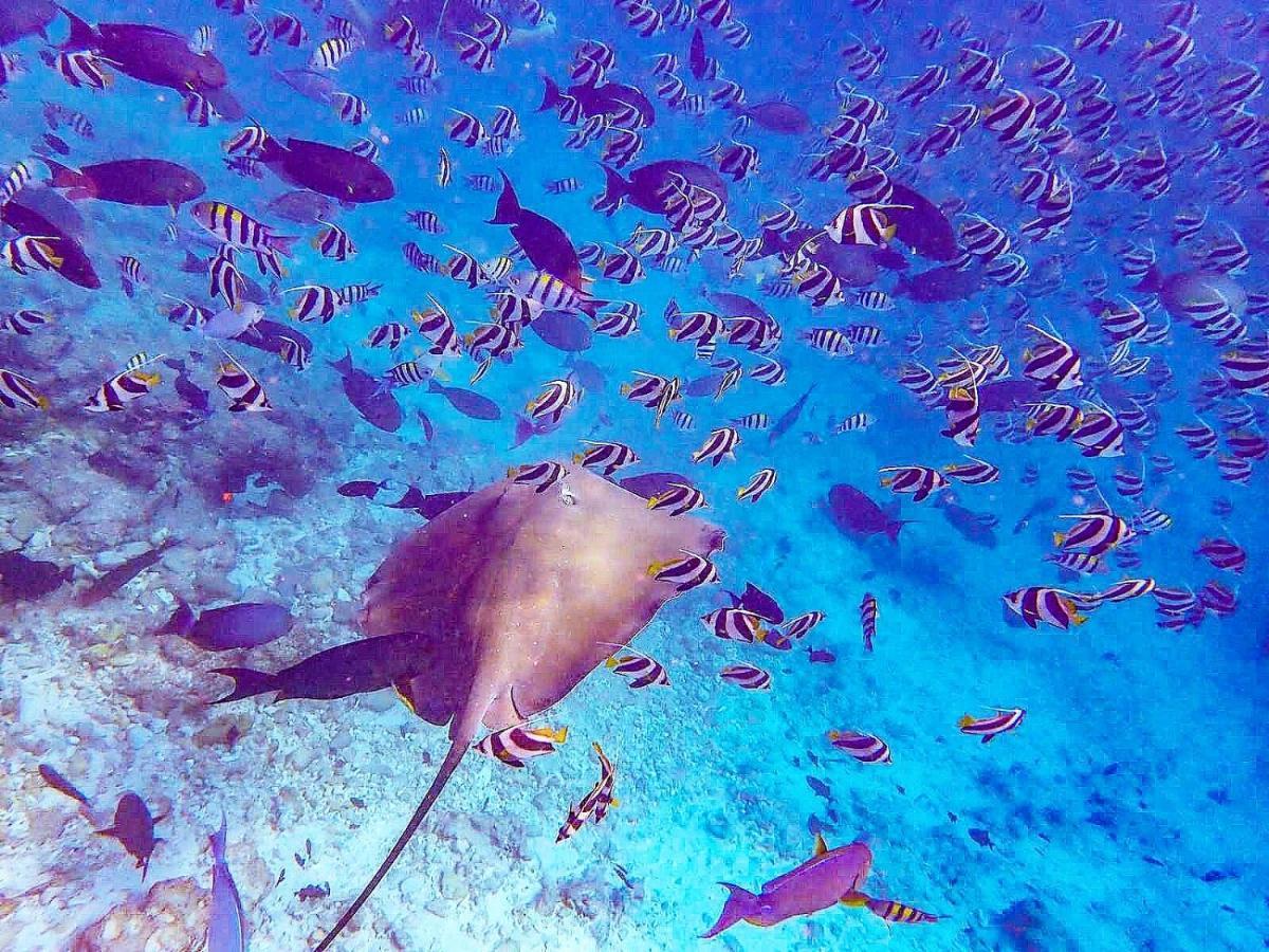 La Due Thulusdhoo Hotel ภายนอก รูปภาพ